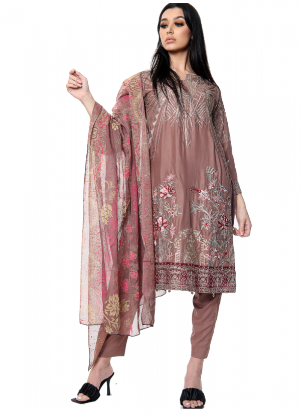 Ladies Salwar Suits Online Buy Ladies Suit Salwar Kameez For Women At Diya Online